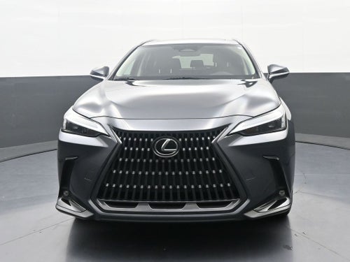 2024 Lexus NX NX 350