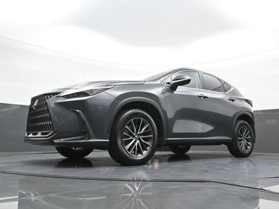 2024 Lexus NX NX 350