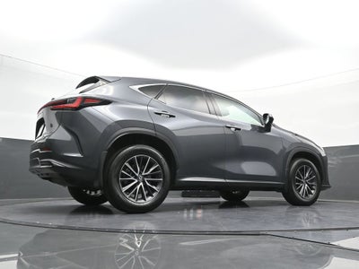 2024 Lexus NX NX 350