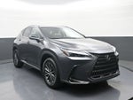 2024 Lexus NX NX 350