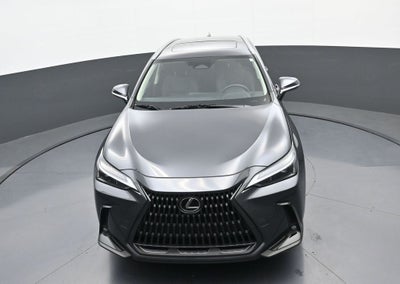 2024 Lexus NX NX 350