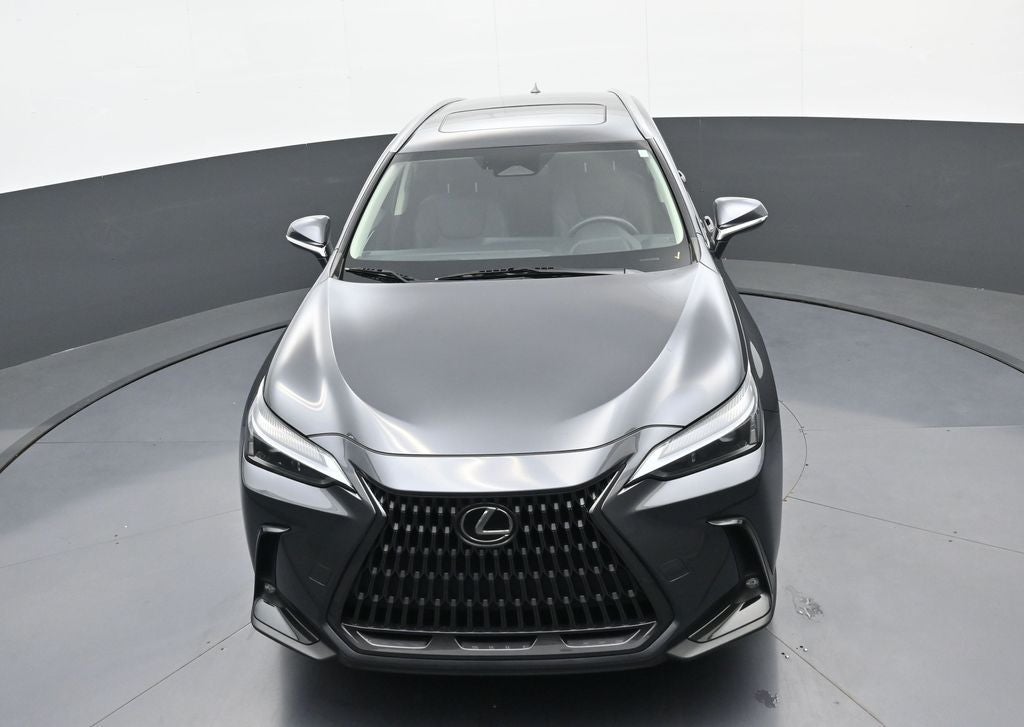 2024 Lexus NX NX 350