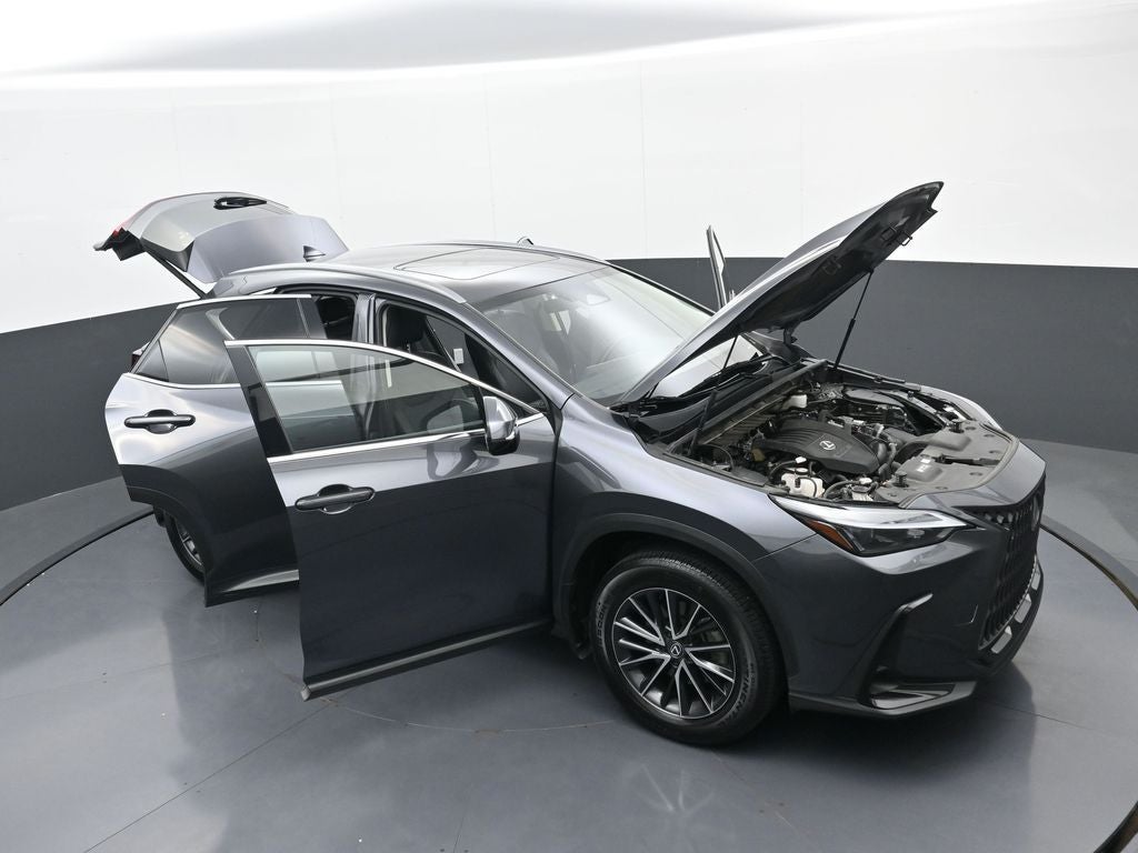 2024 Lexus NX NX 350
