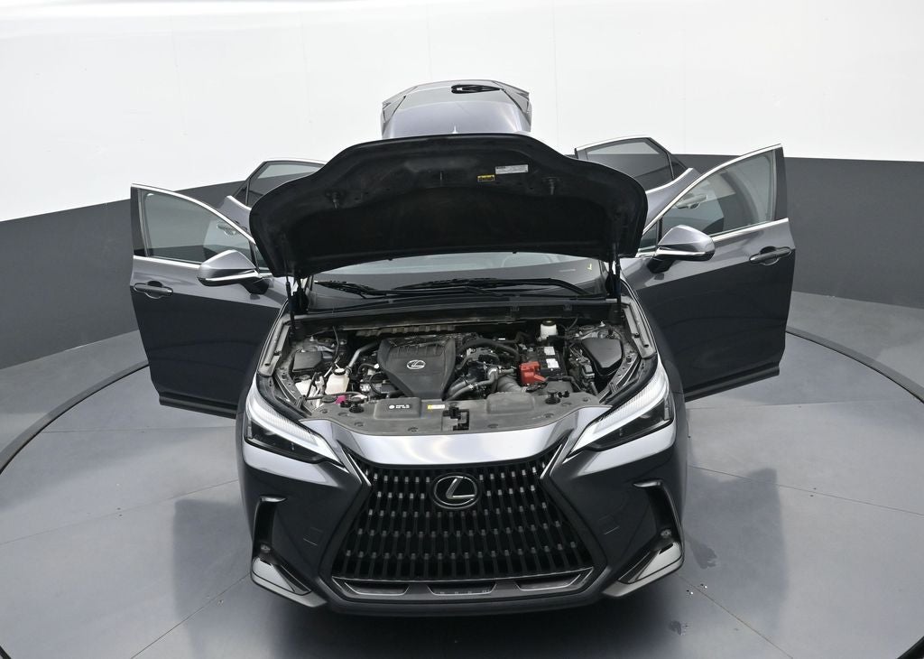 2024 Lexus NX NX 350