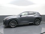 2024 Lexus NX NX 350