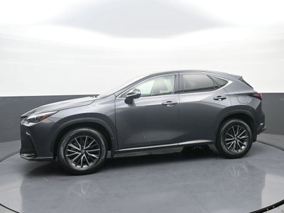 2024 Lexus NX NX 350