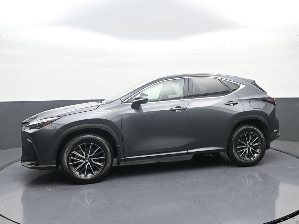 2024 Lexus NX NX 350