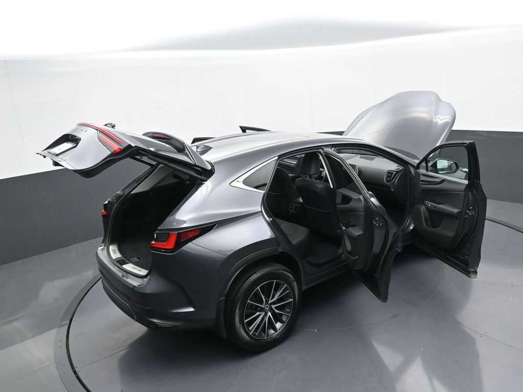 2024 Lexus NX NX 350