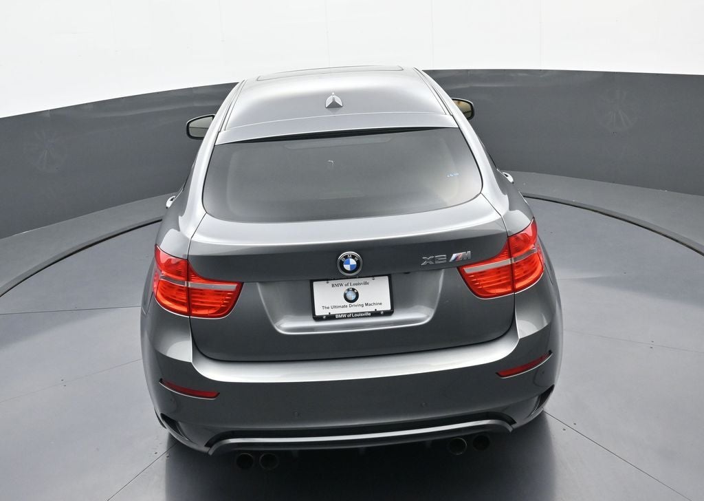 2010 BMW X6 M Base