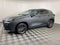 2024 Lexus NX 250
