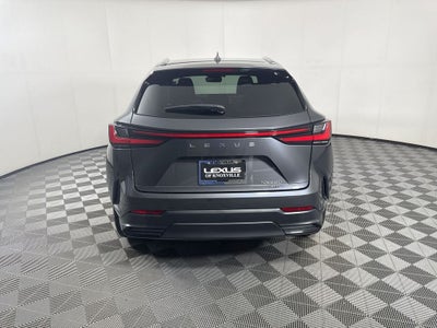 2024 Lexus NX 350