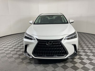 2025 Lexus NX 250 Premium