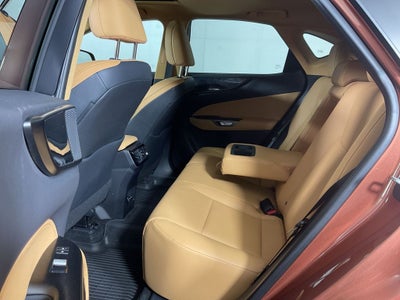 2025 Lexus NX 250 Premium