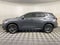 2024 Lexus NX 250 Premium