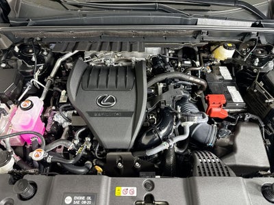 2025 Lexus NX 350 Premium