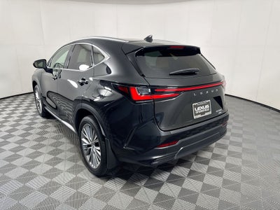 2025 Lexus NX 350 Premium