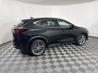 2025 Lexus NX 350 Premium