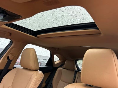 2022 Lexus NX 350 Premium