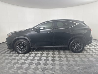2024 Lexus NX 350h Premium