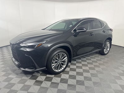2026 Lexus NX 350h Premium