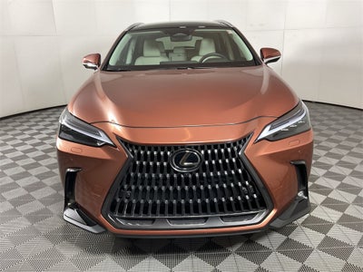 2025 Lexus NX 350 Luxury