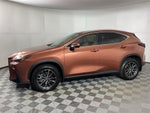 2025 Lexus NX 350 Luxury