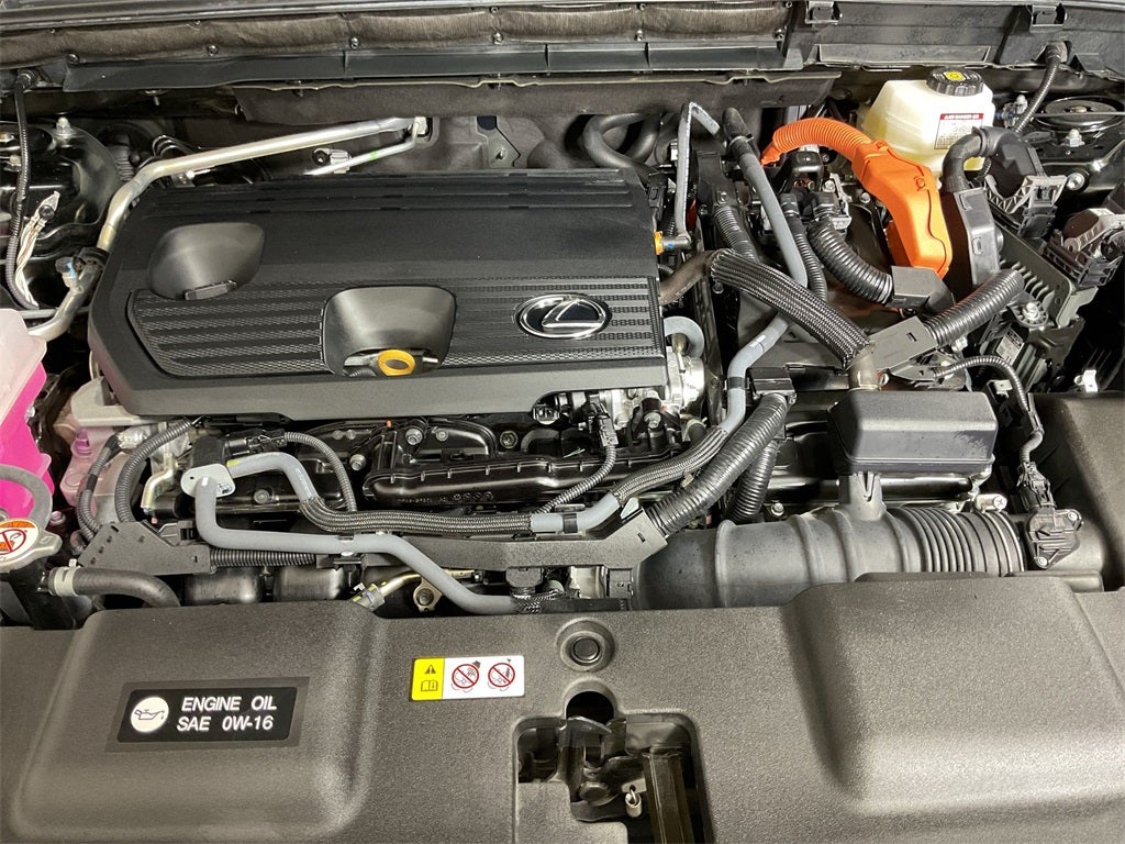 2024 Lexus NX 350h Luxury