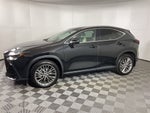 2024 Lexus NX 350h Luxury