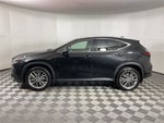 2024 Lexus NX 350h Luxury