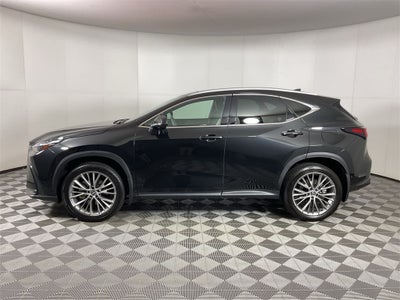 2024 Lexus NX 350h Luxury