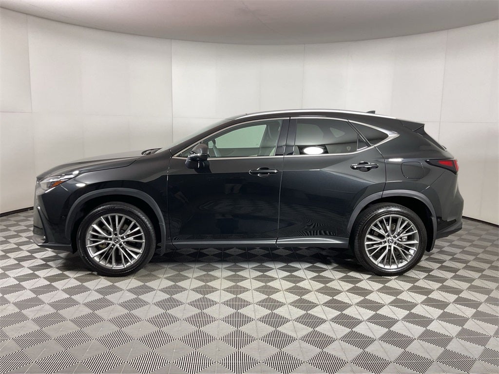 2024 Lexus NX 350h Luxury