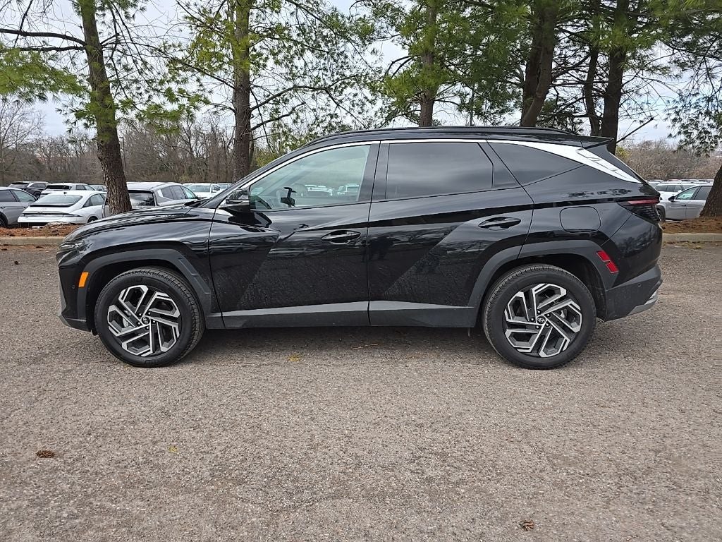 2025 Hyundai Tucson Limited