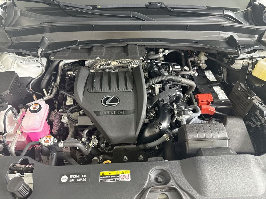 2024 Lexus TX 350 Premium