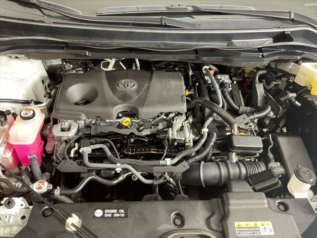 2021 Toyota Sienna Platinum 7 Passenger