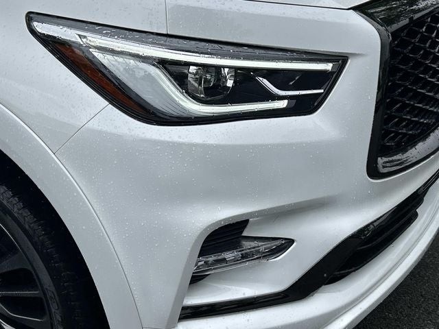 2024 INFINITI QX80 Sensory