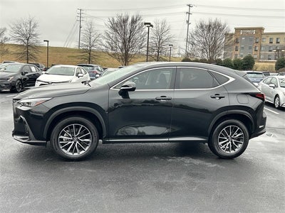2024 Lexus NX 350 Premium
