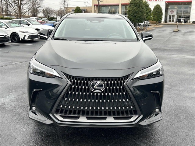 2024 Lexus NX 350 Premium
