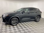 2024 Lexus NX 350h Premium