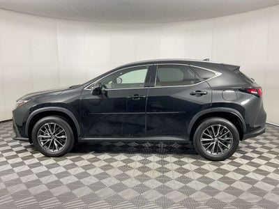 2024 Lexus NX 350h Premium