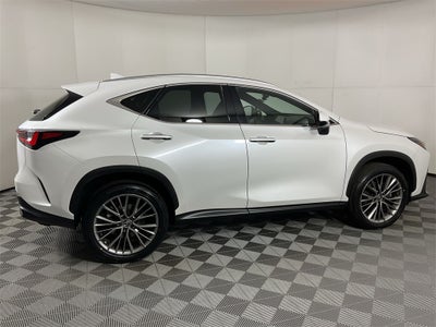2023 Lexus NX 350h Luxury