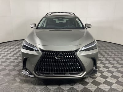 2025 Lexus NX 450h+ Luxury