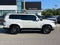 2025 Lexus GX 550 Premium+