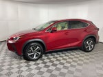 2018 Lexus NX 300 Premium