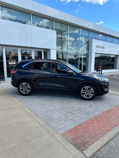 2021 Ford Escape Hybrid SEL