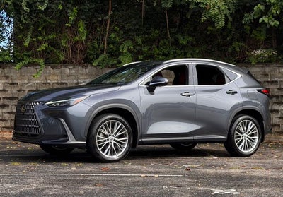 2025 Lexus NX 350 Premium
