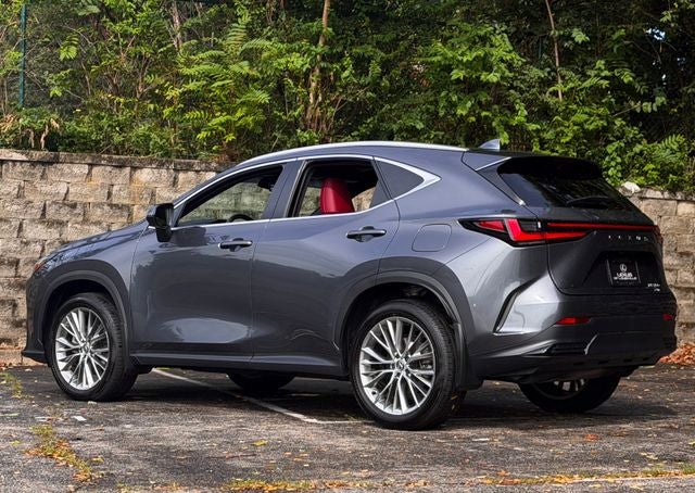 2025 Lexus NX 350 Premium